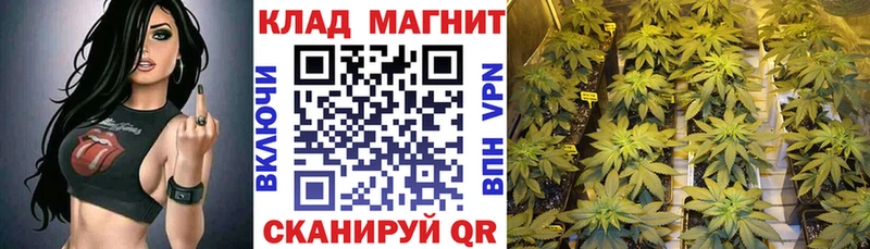 Магазин наркотиков Вольск ГАШ OMG как зайти Alpha PVP МЕФ Бошки Шишки