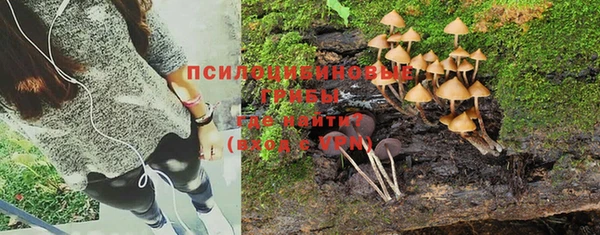 трава Приозерск