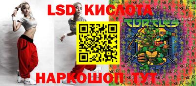 ешки Бийск