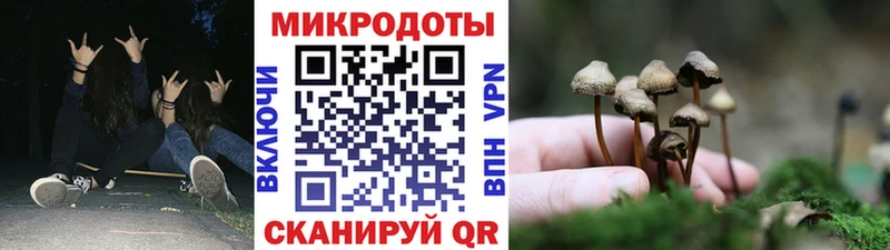 купить закладку  Вольск  Галлюциногенные грибы Magic Shrooms 
