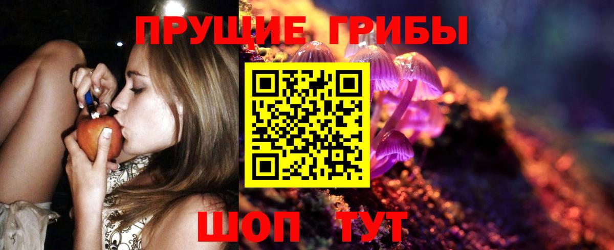 наркотики  Псилоцибиновые грибы MAGIC MUSHROOMS  Вольск  Вход с VPN  Галлюциногенные грибы прущие грибы 