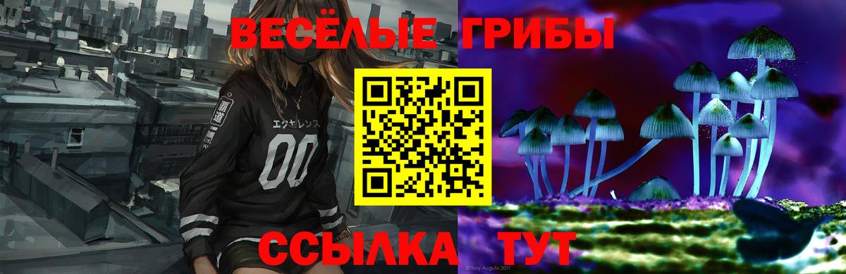 Псилоцибиновые грибы мухоморы  Вольск 